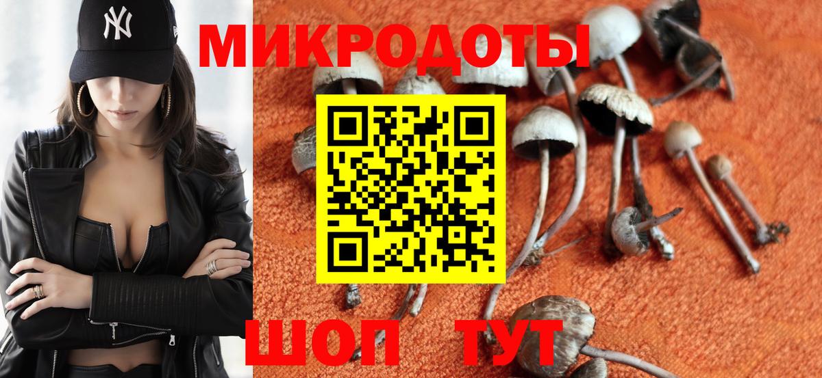 Псилоцибиновые грибы Psilocybine cubensis  Вход с VPN  Прохладный  Галлюциногенные грибы мухоморы 
