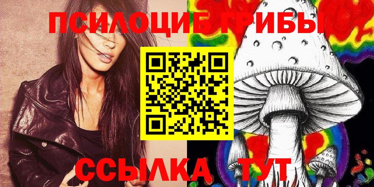Псилоцибиновые грибы Psilocybe Прохладный