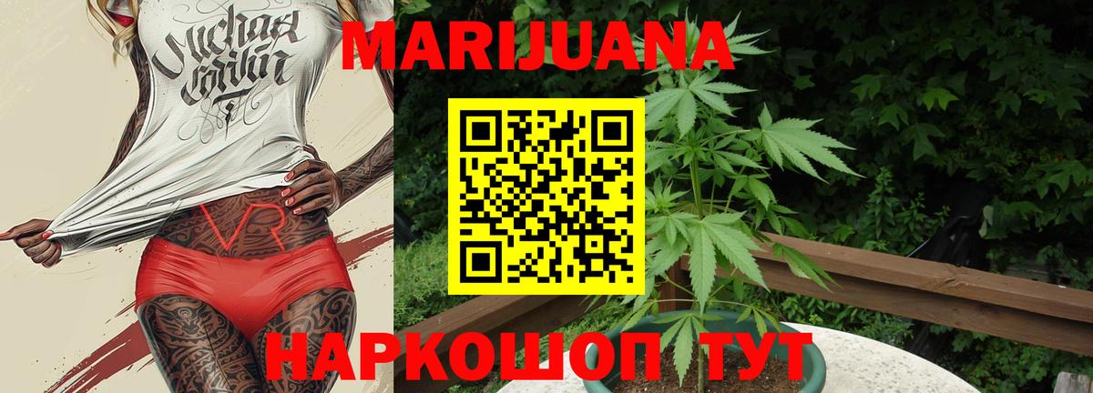 Бошки Шишки семена  Бошки Шишки сатива  Вход с VPN  МАРИХУАНА Bruce Banner  Прохладный 